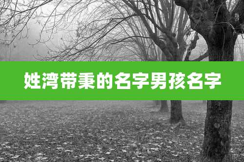 姓湾带秉的名字男孩名字