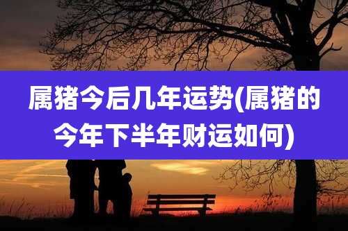 属猪今后几年运势(属猪的今年下半年财运如何)