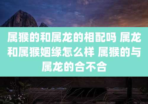 属猴的和属龙的相配吗 属龙和属猴姻缘怎么样 属猴的与属龙的合不合