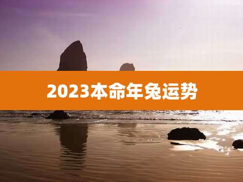 2023本命年兔运势