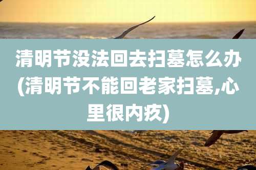 清明节没法回去扫墓怎么办(清明节不能回老家扫墓,心里很内疚)