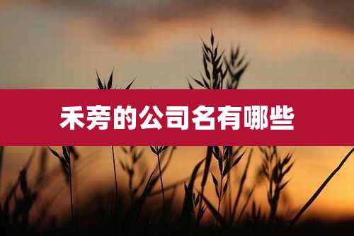 禾旁的公司名有哪些