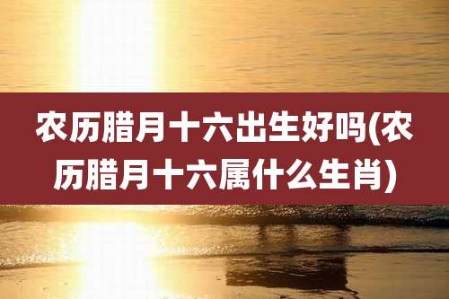 农历腊月十六出生好吗(农历腊月十六属什么生肖)