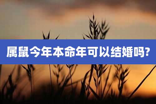 属鼠今年本命年可以结婚吗?