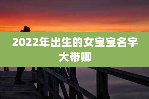 2022年出生的女宝宝名字大带卿