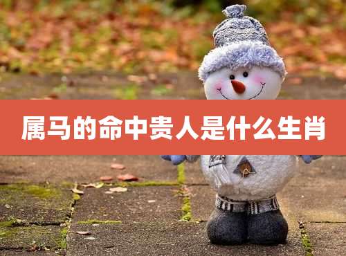 属马的命中贵人是什么生肖