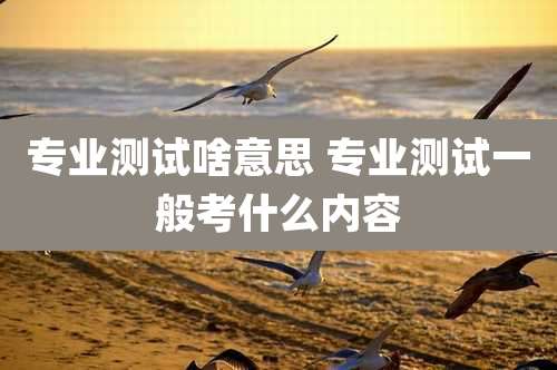 专业测试啥意思 专业测试一般考什么内容