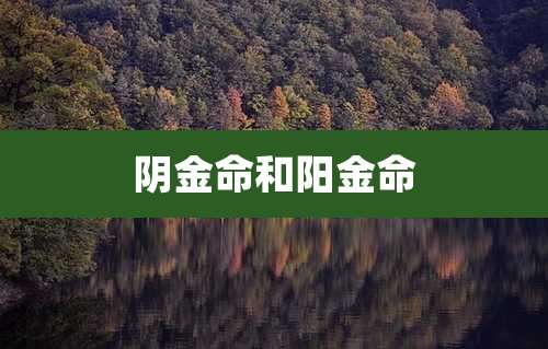 阴金命和阳金命