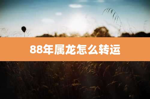 88年属龙怎么转运