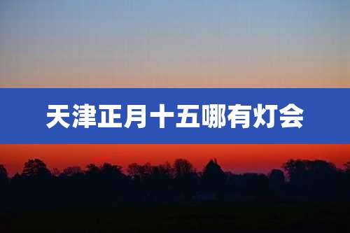 天津正月十五哪有灯会