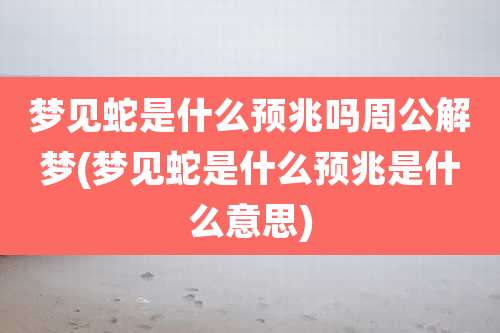 梦见蛇是什么预兆吗周公解梦(梦见蛇是什么预兆是什么意思)