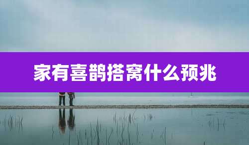 家有喜鹊搭窝什么预兆