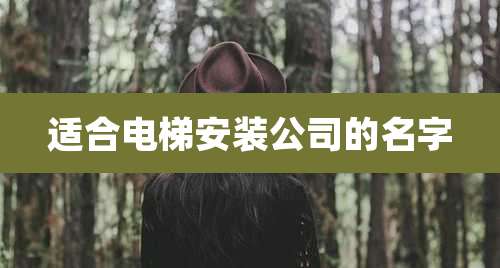 适合电梯安装公司的名字