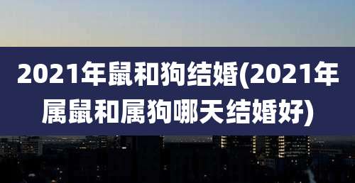 2021年鼠和狗结婚(2021年属鼠和属狗哪天结婚好)