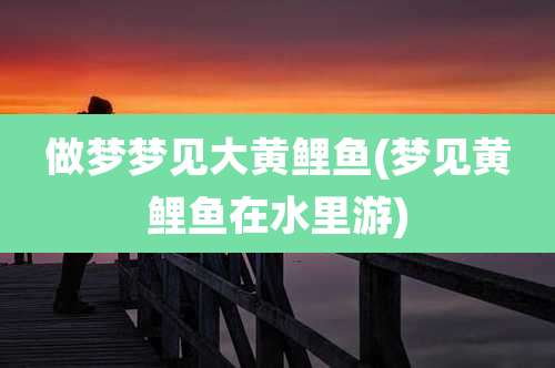 做梦梦见大黄鲤鱼(梦见黄鲤鱼在水里游)