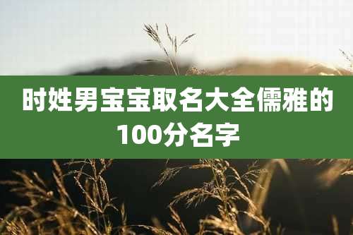 时姓男宝宝取名大全儒雅的100分名字