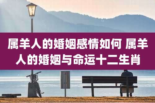 属羊人的婚姻感情如何 属羊人的婚姻与命运十二生肖