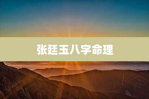 张廷玉八字命理