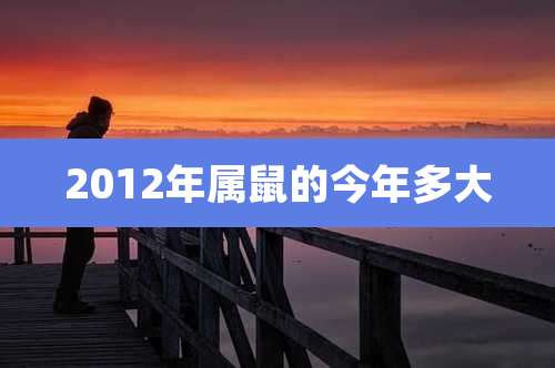 2012年属鼠的今年多大