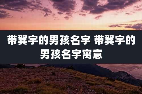 带翼字的男孩名字 带翼字的男孩名字寓意
