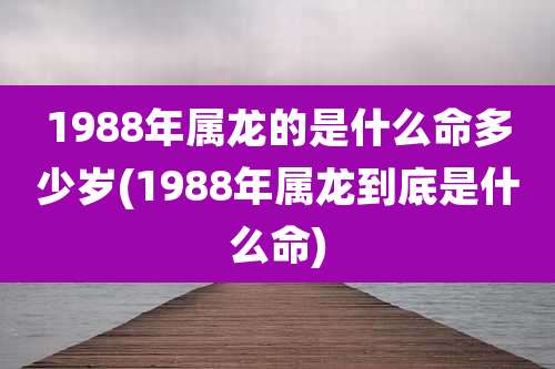 1988年属龙的是什么命多少岁(1988年属龙到底是什么命)