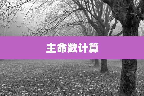 主命数计算
