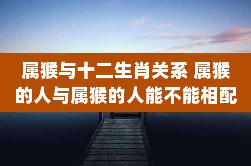 属猴与十二生肖关系 属猴的人与属猴的人能不能相配