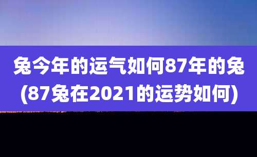 兔今年的运气如何87年的兔(87兔在2021的运势如何)