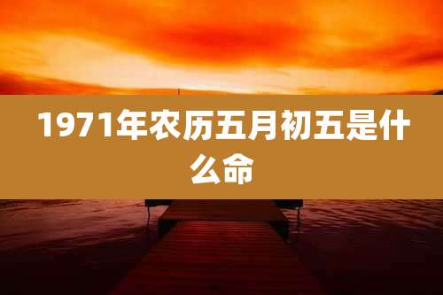 1971年农历五月初五是什么命
