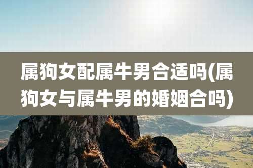 属狗女配属牛男合适吗(属狗女与属牛男的婚姻合吗)