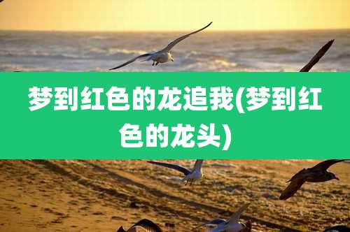 梦到红色的龙追我(梦到红色的龙头)