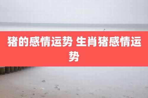 猪的感情运势 生肖猪感情运势