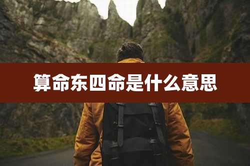 算命东四命是什么意思