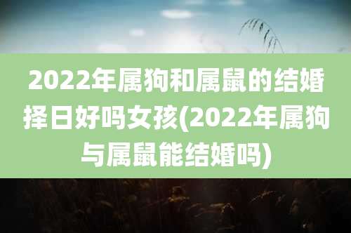 2022年属狗和属鼠的结婚择日好吗女孩(2022年属狗与属鼠能结婚吗)