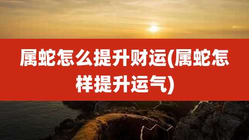 属蛇怎么提升财运(属蛇怎样提升运气)