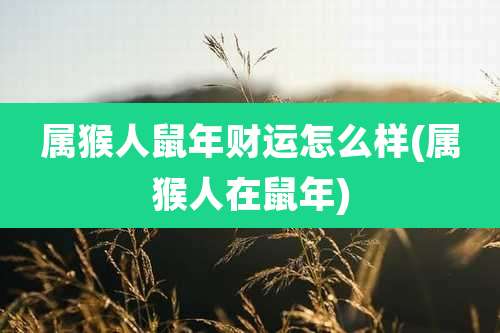 属猴人鼠年财运怎么样(属猴人在鼠年)