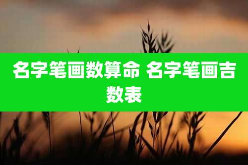 名字笔画数算命 名字笔画吉数表