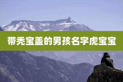 带秃宝盖的男孩名字虎宝宝
