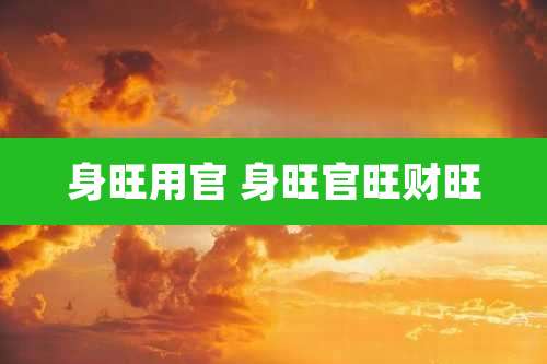 身旺用官 身旺官旺财旺