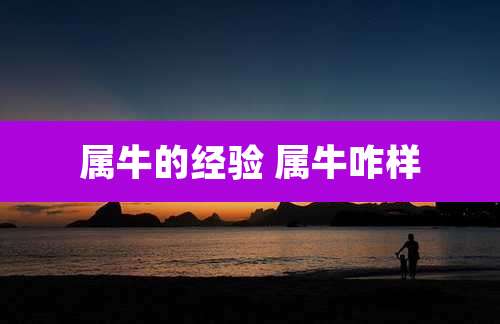 属牛的经验 属牛咋样