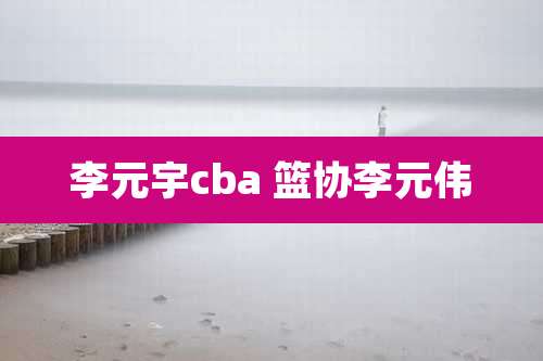 李元宇cba 篮协李元伟