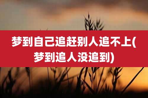 梦到自己追赶别人追不上(梦到追人没追到)