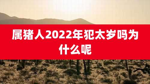 属猪人2022年犯太岁吗为什么呢