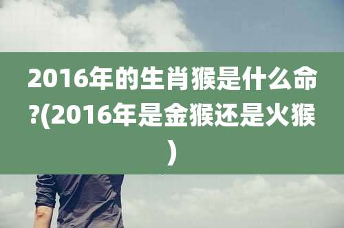 2016年的生肖猴是什么命?(2016年是金猴还是火猴)