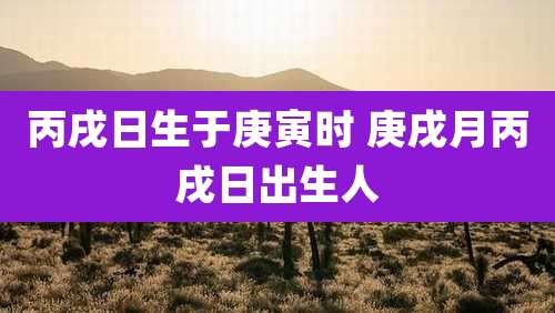 丙戌日生于庚寅时 庚戌月丙戌日出生人