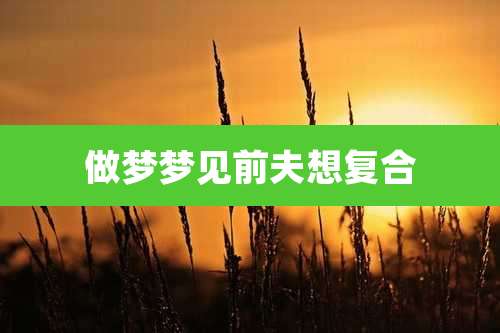 做梦梦见前夫想复合