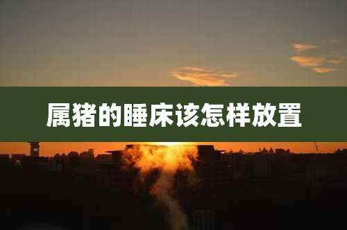 属猪的睡床该怎样放置