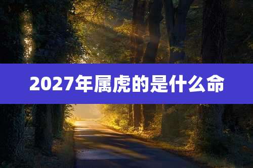 2027年属虎的是什么命