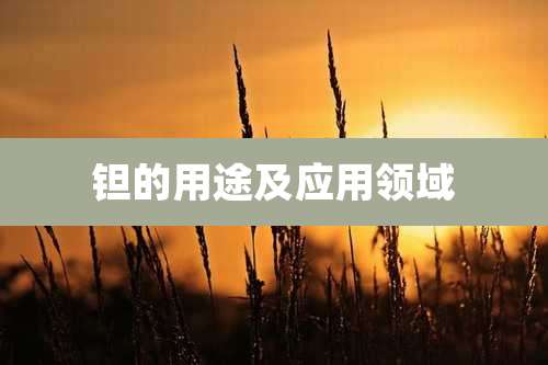 钽的用途及应用领域