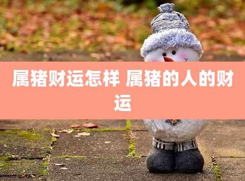 属猪财运怎样 属猪的人的财运